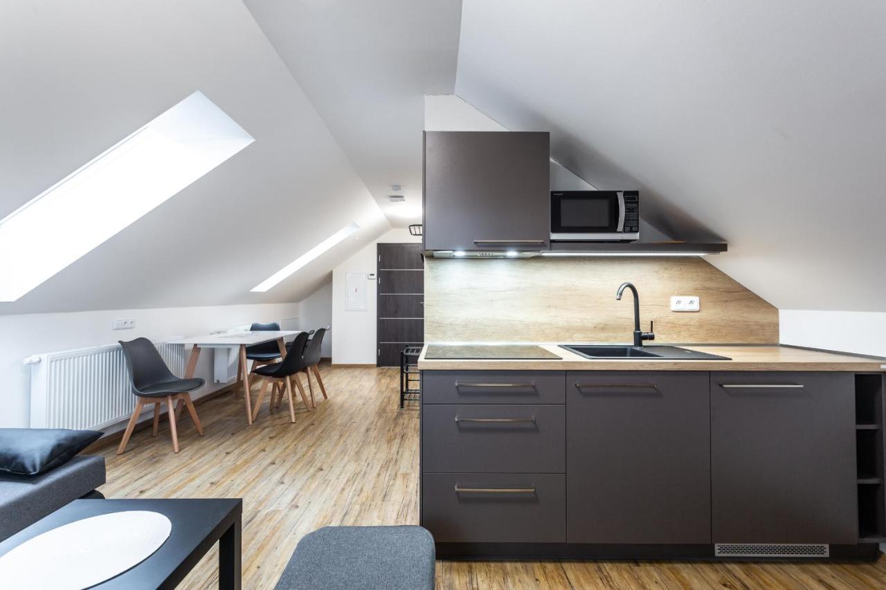 Plessberg Apartments Plesivec Abertamy Εξωτερικό φωτογραφία