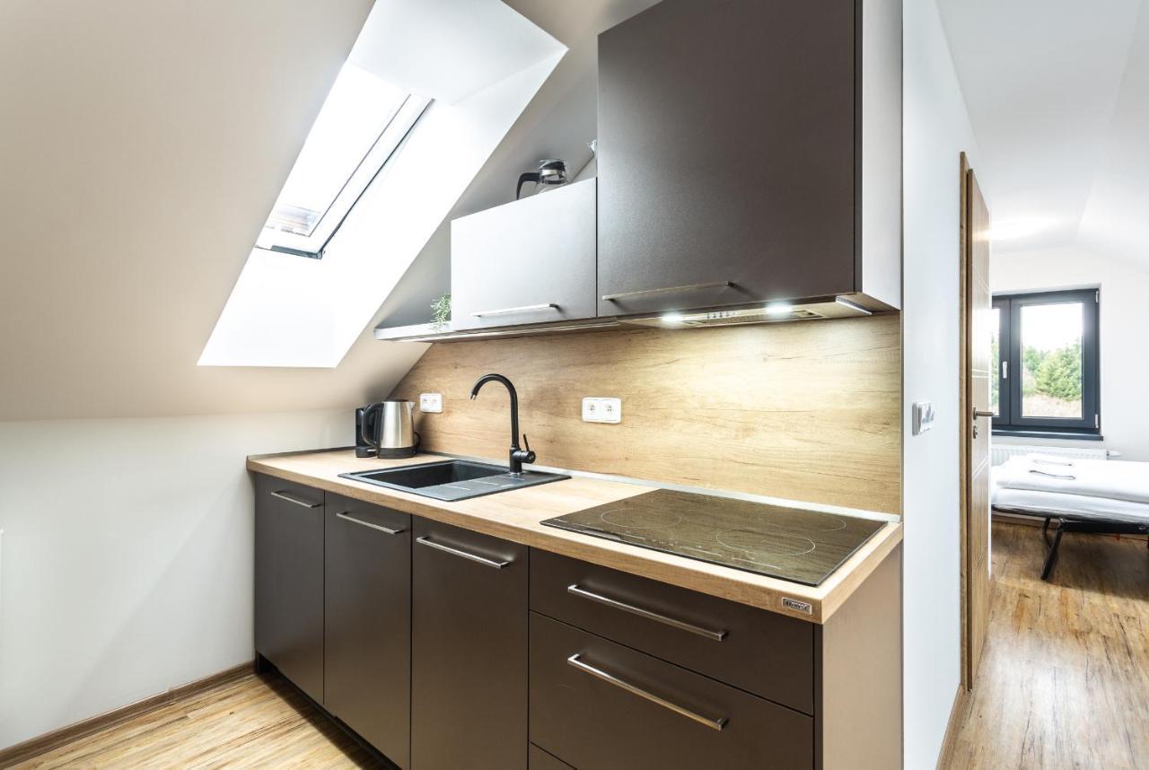 Plessberg Apartments Plesivec Abertamy Εξωτερικό φωτογραφία