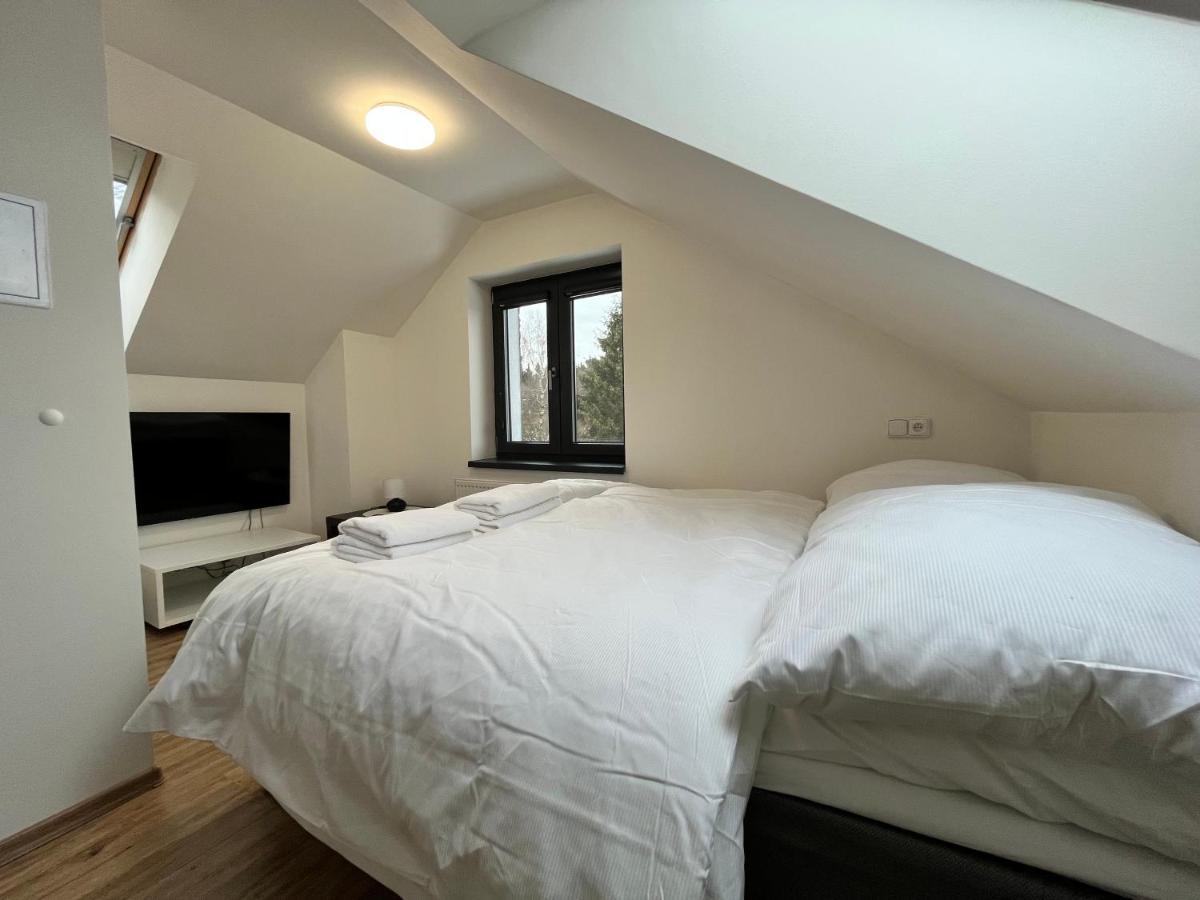 Plessberg Apartments Plesivec Abertamy Εξωτερικό φωτογραφία